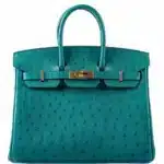 Hermès 2019 Birkin 25 Vert Verone Ostrich Gold Hardware