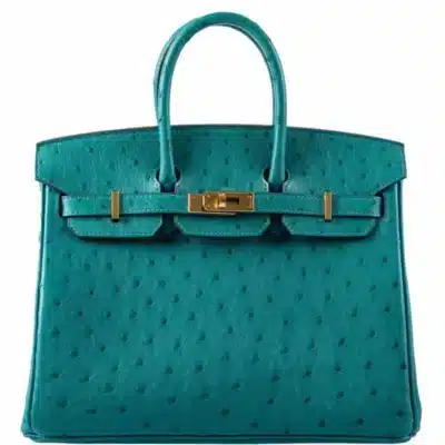 Hermès 2019 Birkin 25 Vert Verone Ostrich Gold Hardware