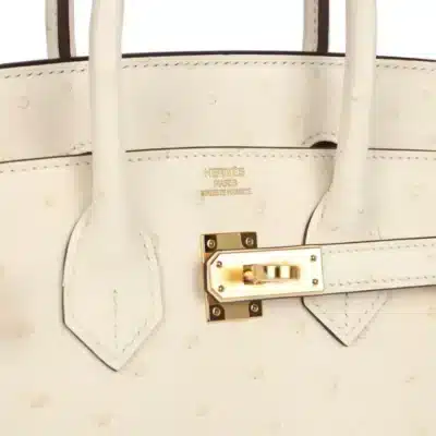 Hermès Birkin 25 Nata Ostrich logo1