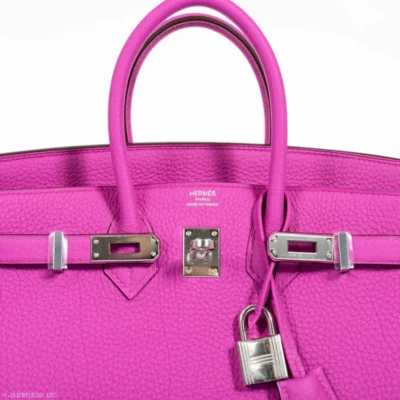 Hermès 2018 Birkin 25 Magnolia Togo logo