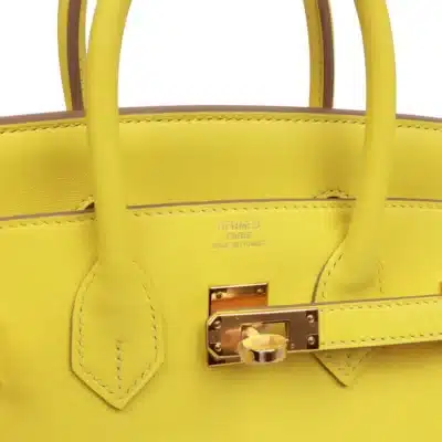 Hermès 2019 Birkin 25 Lime Swift logo