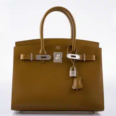 Hermès 2019 Birkin 30 Sellier Bronze Dore Madame Grain Palladium Hardware