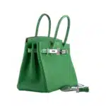 Hermès 2020 Birkin 30 Bambou (Bamboo)/Cactus Matte Niloticus Crocodile & Togo Palladium Hardware Lushentic replica handbags