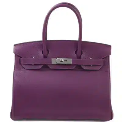 Hermès 2021 Birkin 30 Anemone Togo Palladium Hardware