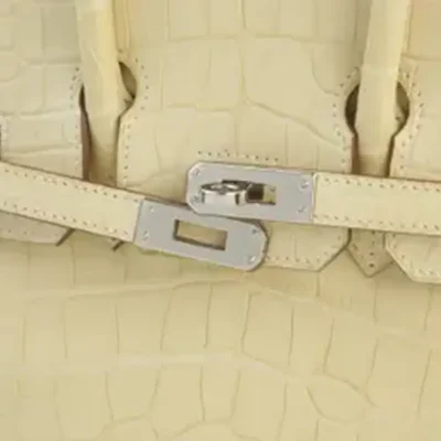 Hermès 2022 Birkin 25 Vanille Matte Alligator Mississippiensis Palladium Hardware