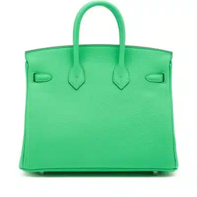 Hermès 2024 Birkin 25 Vert Comics Togo Palladium Hardware