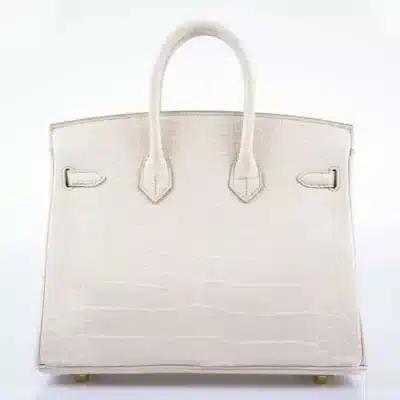 Hermès Birkin 25 Beton Matte Alligator Mississippiensis Gold Hardware