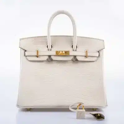 Hermès Birkin 25 Beton Matte Alligator Mississippiensis Gold Hardware