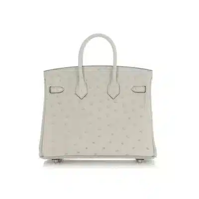 Hermès Birkin 25 Gris Perle Verso Ostrich Palladium Hardware