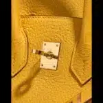 Hermès Birkin 25 Jaune Ambre Togo Gold Hardware replica handbags online