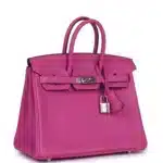 Hermès Birkin 25 Magnolia Togo Palladium Hardware