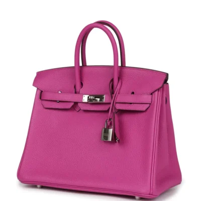 Hermès Birkin 25 Magnolia Togo Palladium Hardware