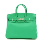 Hermès Birkin 25 Mint Y Engraved Swift Silver Hardware dupes bag