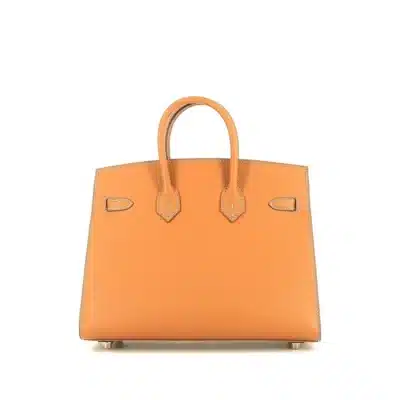 Hermès Birkin 25 Orange Epsom back1