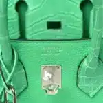 Hermes Birkin 25 Touch Vert Comics Togo & Matte Alligator Mississippiensis Palladium Hardware