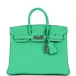 Hermès Birkin 25 Vert Comics Togo Palladium Hardware