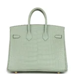 Hermès Birkin 25 Vert D'Eau Matte Alligator Mississippiensis Gold Hardware