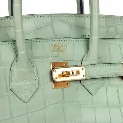 Hermès Birkin 25 Vert D'Eau Matte Alligator Mississippiensis Gold Hardware