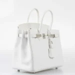 Hermès Birkin 25 White Epsom Palladium Hardware Luxury bag