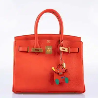 Hermès Birkin 30 Capucine Togo Gold Front2