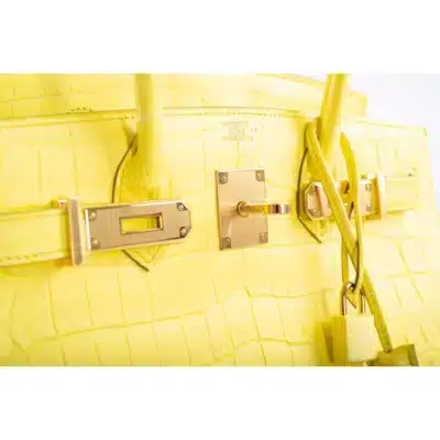 Hermès Birkin 30 Sellier Jaune Citron Matte Niloticus Crocodile logo1