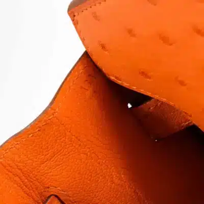 Hermès Birkin 30 Tangerine Ostrich Palladium Detail1