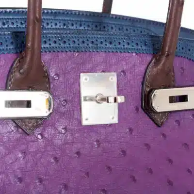 Hermès Birkin 30 Tri Color Violine Blue De Malt And Marron Ostrich Palladium Detail1