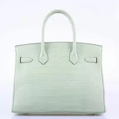 Hermès Birkin 30 Vert D'Eau Matte Alligator Mississippiensis Palladium Hardware