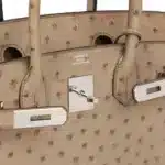 Hermès Birkin 30 Gris Ostrich Palladium Hardware