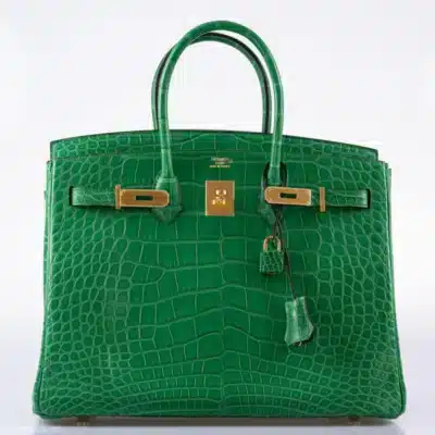 Hermès Birkin 35 Cactus Matte Alligator Mississippiensis Gold Hardware