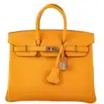 Hermès HSS Birkin 25 Jaune D'Or Epsom Gold Hardware Replica Bags