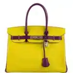 Hermès HSS Birkin 30 Lime and Anemone Chevre Palladium Hardware replica bags