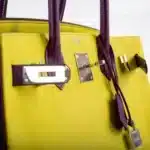 Hermès HSS Birkin 30 Lime and Anemone Chevre Palladium Hardware replica bags