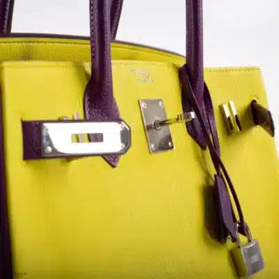 Hermès HSS Birkin 30 Lime and Anemone Chevre logo