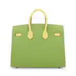 Hermès HSS Custom Birkin 25 Sellier Vert Criquet And Jaune Poussin Epsom Gold Hardware