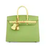 Hermès HSS Custom Birkin 25 Sellier Vert Criquet And Jaune Poussin Epsom Gold Hardware