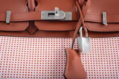 Hermès Limited Edition Birkin 25 Brique/Écru/Mauve Sylvestre/Terre Battue Swift & Toile Quadrille Palladium Hardware