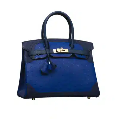 Hermès Limited Edition Birkin 30 Tri-Color Bleu Saphir/Bleu Iris/Bleu De Malte Ostrich Ghillies Permabrass Hardware