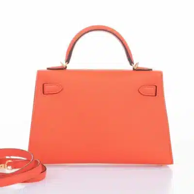 Hermès Mini Kelly 20 Poppy Orange Chevre Gold Hardware Luxury bag