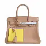 Hermès Rare Collectible Birkin 30 Beige/Yellow/Blue/Purple Swift Colormatic Handbag Silver Hardware