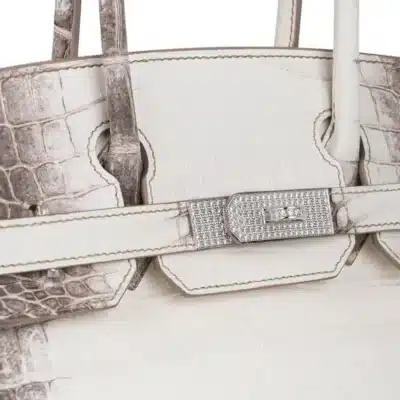 Hermès Rare Collectible Birkin 30 Blanc Himalaya Crocodile Diamond Encrusted 18k White Gold Hardware