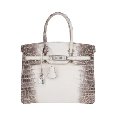 Hermès Rare Collectible Birkin 30 Blanc Himalaya Crocodile Diamond Encrusted 18k White Gold Hardware