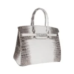 Hermès Rare Collectible Birkin 30 Blanc Himalaya Crocodile Diamond Encrusted 18k White Gold Hardware