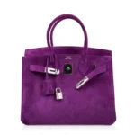 Hermès Rare Collectible Birkin 30 Violet Doblis Palladium Hardware Affordable