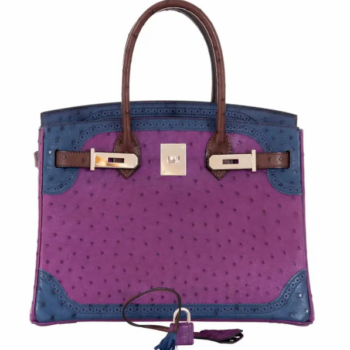 Birkin 30 Tri-Color Violine Blue De Malt and Marron Ostrich with Palladium Hardware